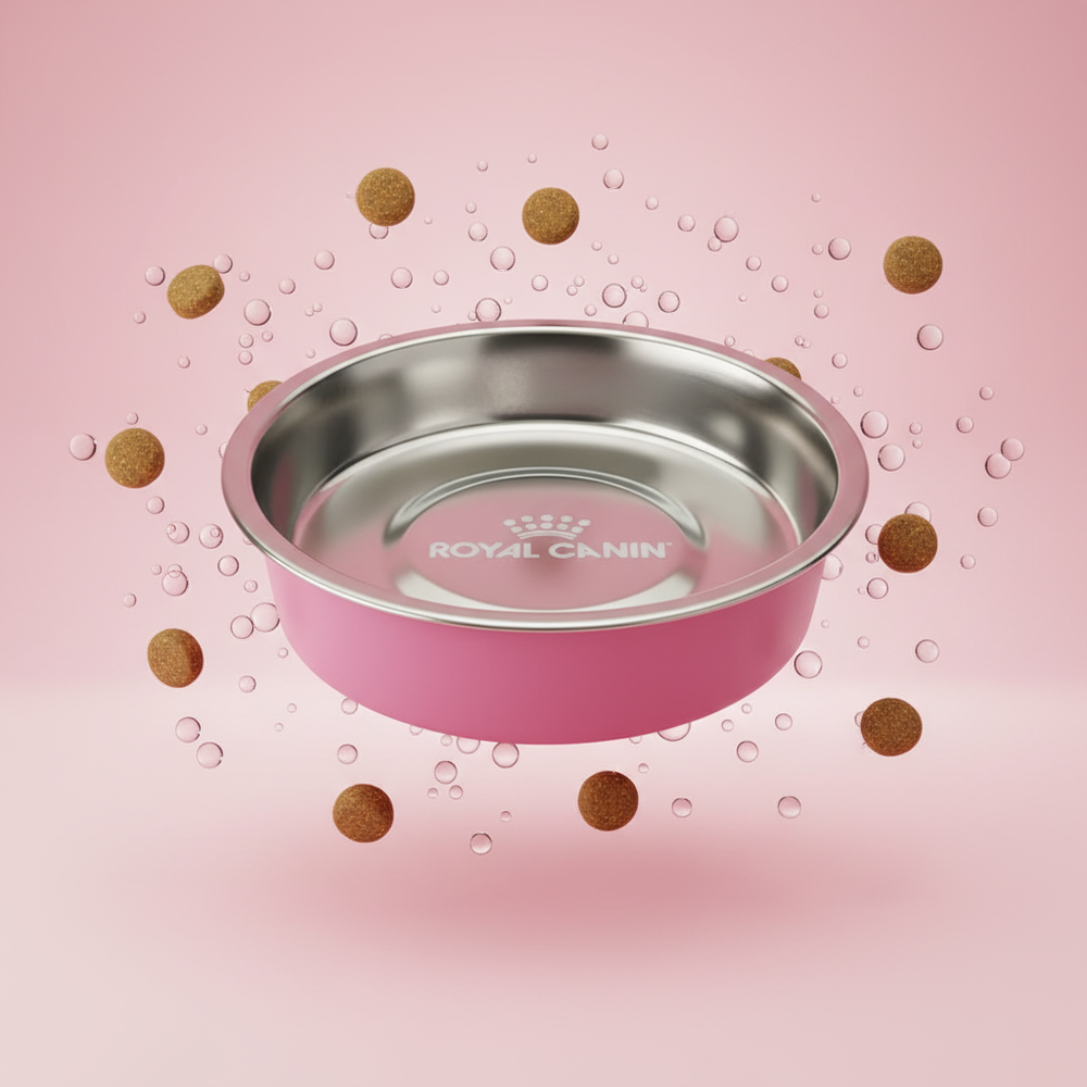 وعاء Royal Canin الستانلس ستيل مع حافة وردية