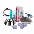 Cat Park Ready Kit with playful kitten and accessories, perfect for pet owners looking for a complete feline care package.