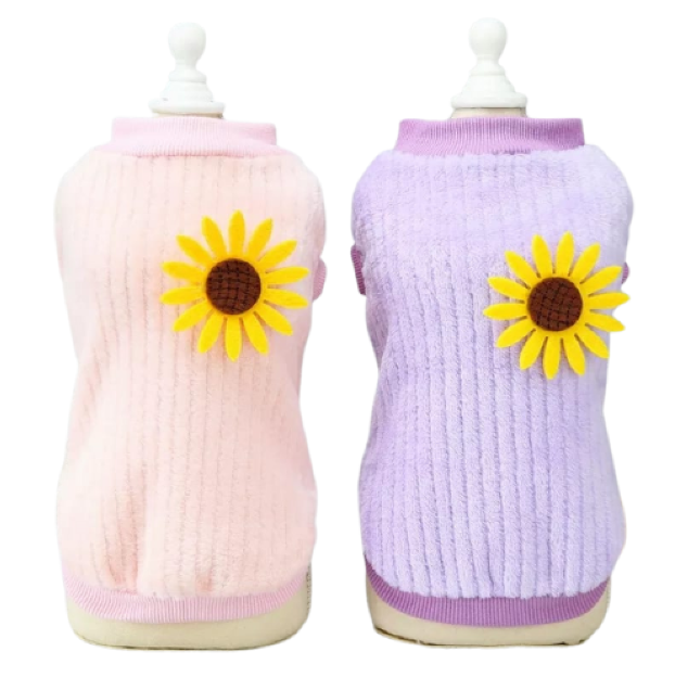 Ready-made sun-shaped patterned clothing by CAT PARK, featuring vibrant, colorful designs on soft fabric for casual wear.