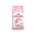 Royal Canin kitten ready-made cat food from CAT PARK, featuring a colorful package with images of kittens and nutritious cat food.