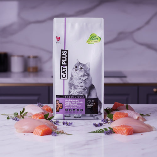 Complete cat care package by CAT PARK including essential supplies for grooming, protection, and overall feline well-being.