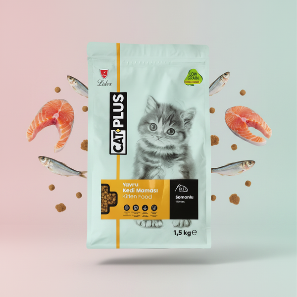 كات بلس - صورة تسويقية