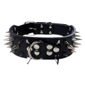 Ready-made dog collar from CAT PARK featuring a comfortable, adjustable design for pets with a stylish appearance.