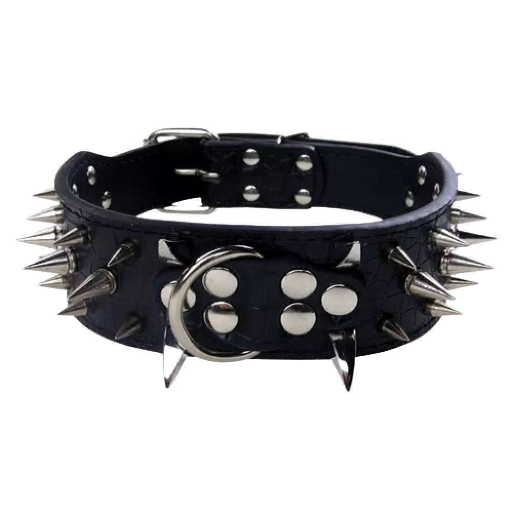 Ready-made dog collar from CAT PARK featuring a comfortable, adjustable design for pets with a stylish appearance.