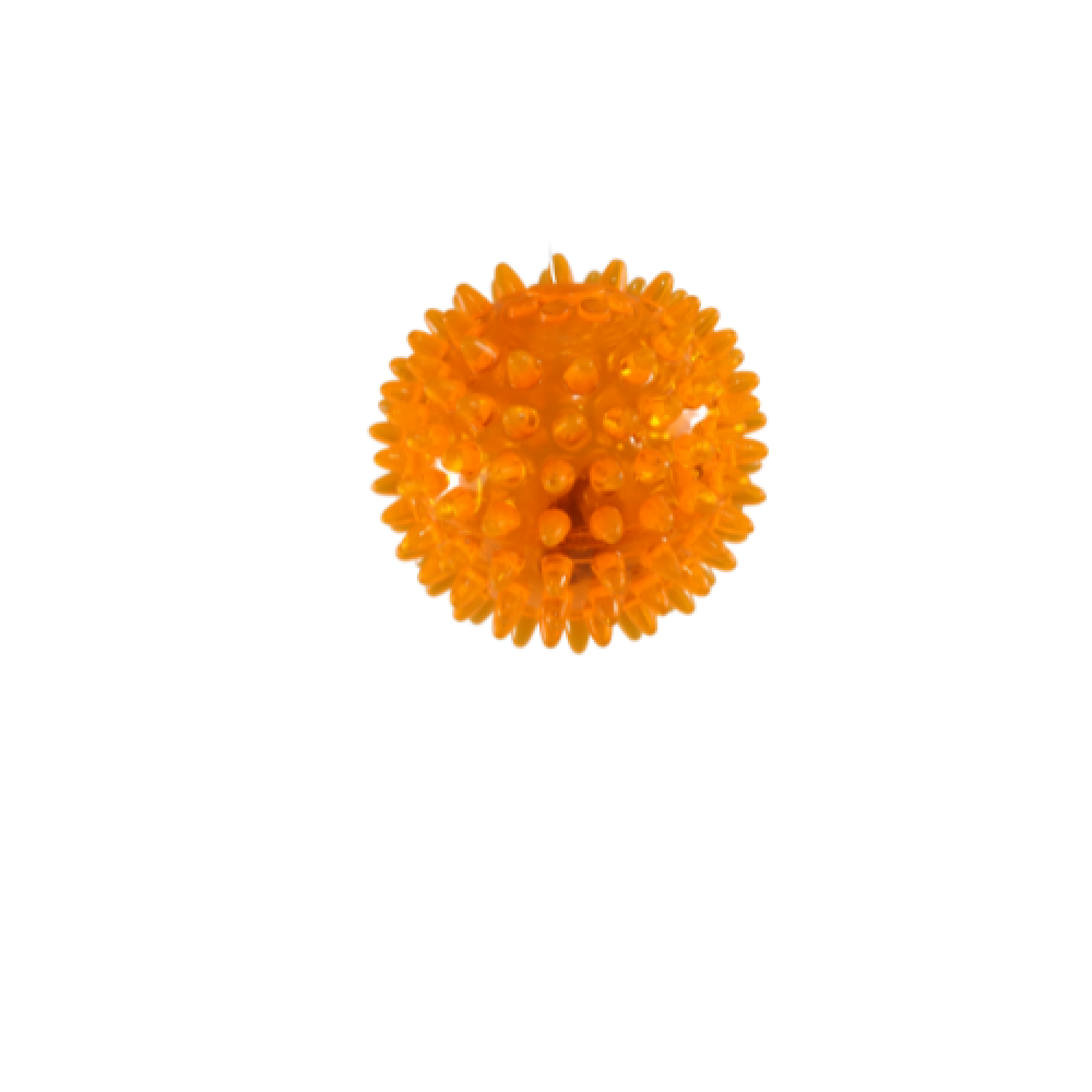 Light-up teething toy by CAT PARK, ready-to-use, featuring colorful, textured silicone designed for soothing and teething comfort.