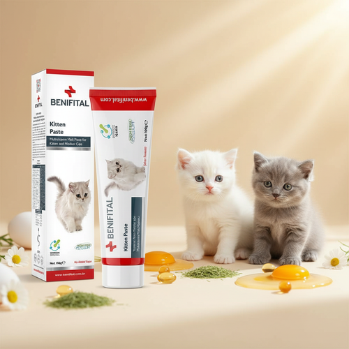 Benifital Kitten Paste - Marketing