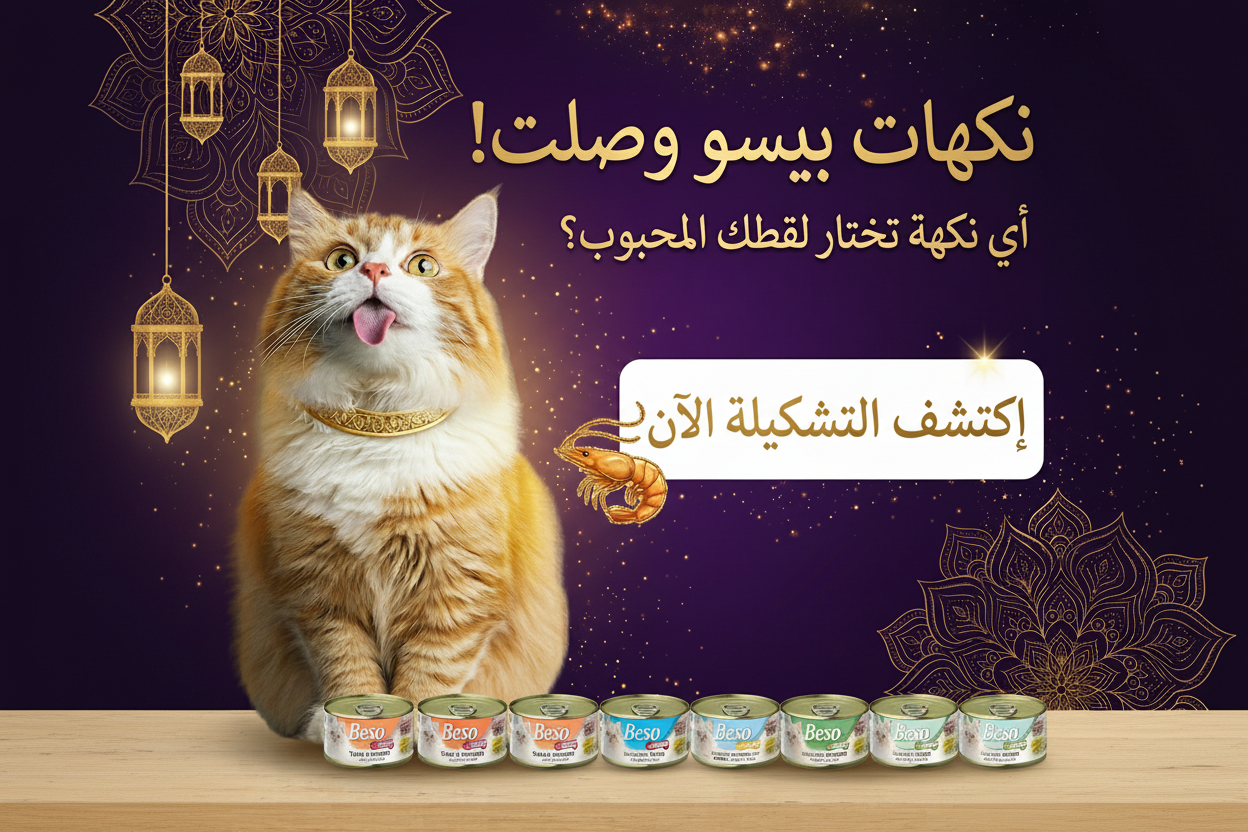 Beso Enhanced Banner