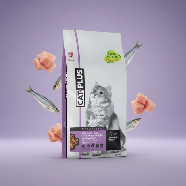 CAT PLUS Sterilised - Close Up