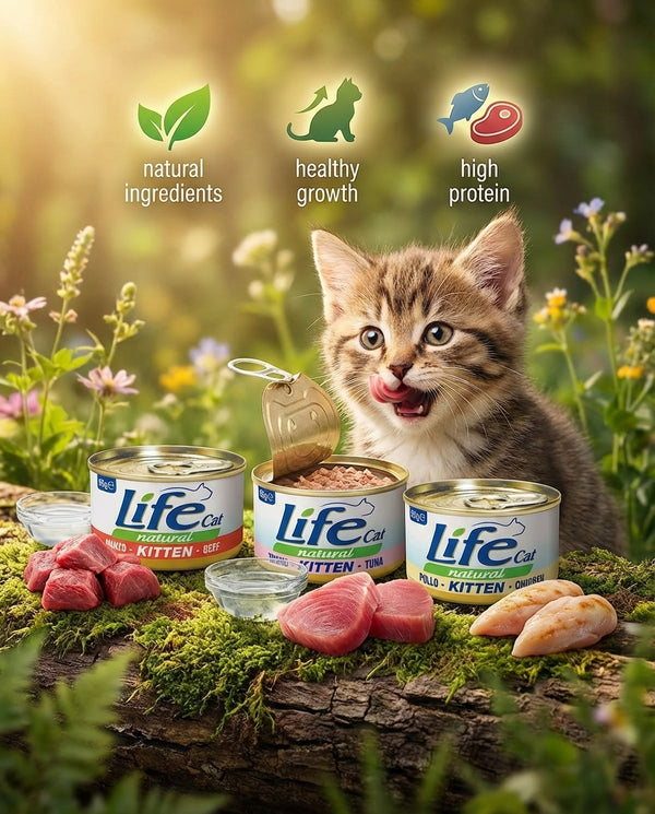 Canned CAT PARK Life Cat wet food for kittens, 85g, featuring colorful flavors, suitable for growing young cats.