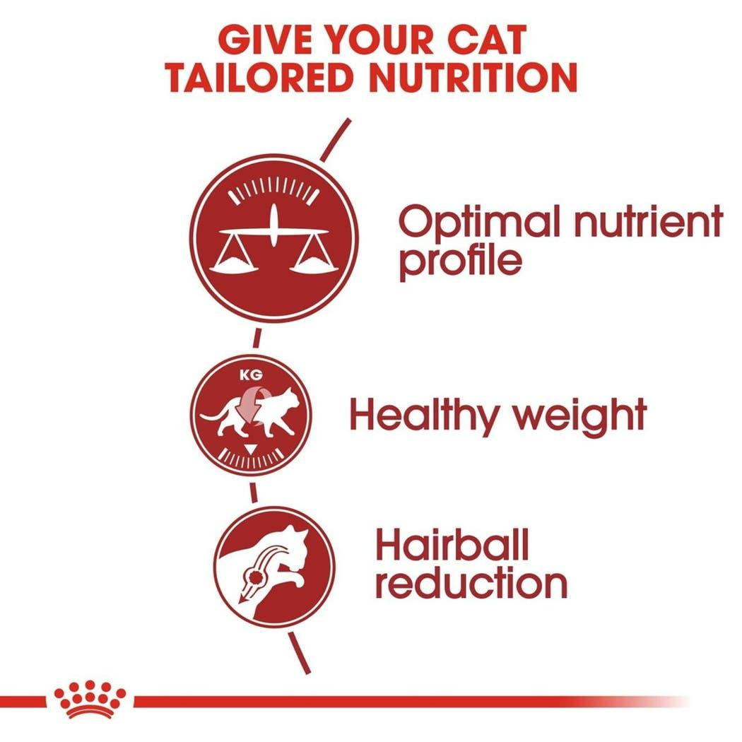 Royal Canin dry cat food for adult cats from CAT PARK, showing a bag of ready-to-eat feline nutrition in natural setting.