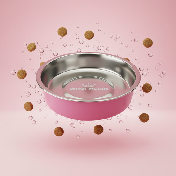 وعاء Royal Canin الستانلس ستيل مع حافة وردية