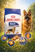 Royal Cat Park dry dog food for large adult dogs, ready-to-eat product with kibble visible in the image.